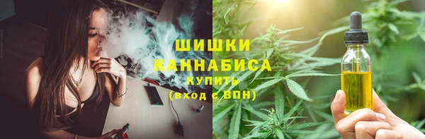 ГАЛЛЮЦИНОГЕННЫЕ ГРИБЫ Горно-Алтайск