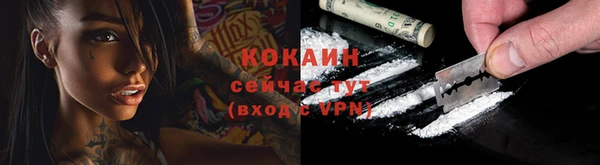 ПСИЛОЦИБИНОВЫЕ ГРИБЫ Гатчина
