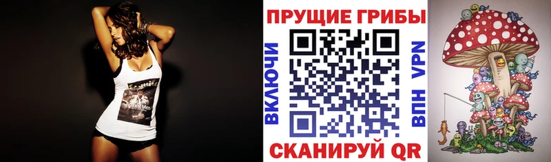 где можно купить наркотик Дзержинский МЕГА ссылки Галлюциногенные грибы Psilocybe