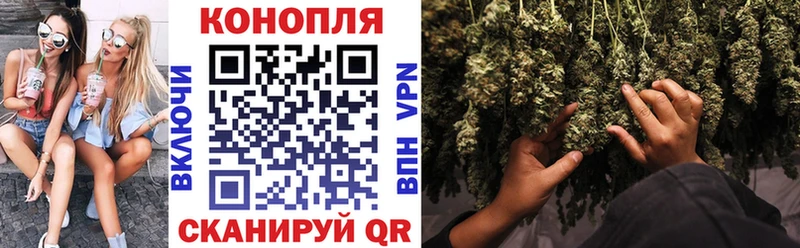 МАРИХУАНА сатива  Дзержинский 